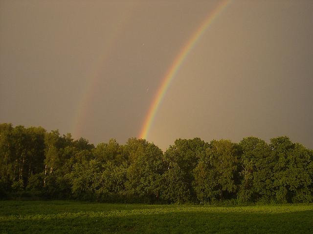PIC05360.JPG