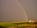 PIC05355