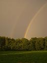 PIC05361