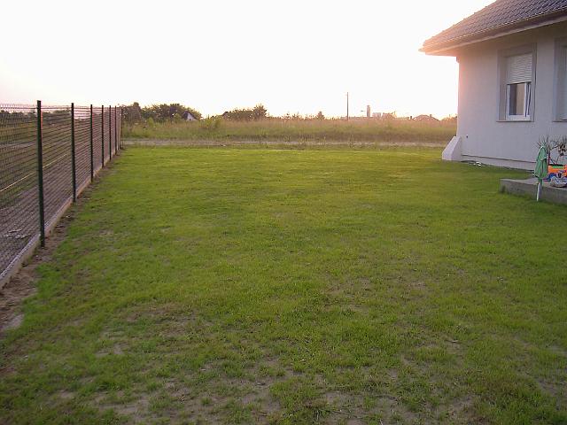PIC05417.JPG