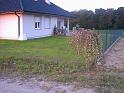 PIC05413