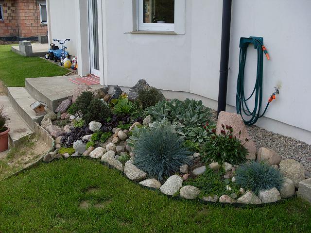 SDC00002.JPG